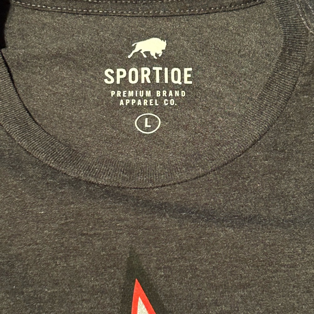 Toronto Raptors Gray T-Shirt - Picture 2 of 2